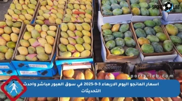 أسعار المانجو اليوم الأربعاء 3-9-2025 في سوق العبور مباشر وأحدث التحديثات
